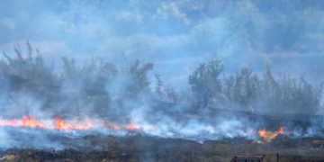 100 zjarrfikës në terren, del jashtë kontrollit zjarri në Parkun Kombëtar të Prespës