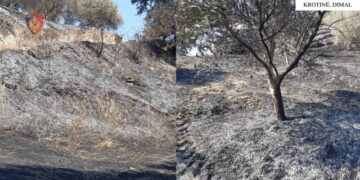 Dyshohet se ndezi zjarr në fshatin ku banonte dhe si pasojë u dogjën 600 rrënjë ulliri, prangoset 24-vjeçari