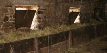 Bie zjarr në një stallë në Dibër, digjen disa bagëti