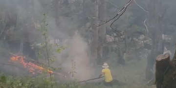 Përfshihet nga flakët masivi pyjor në Kukës, era favorizon përhapjen e zjarrit