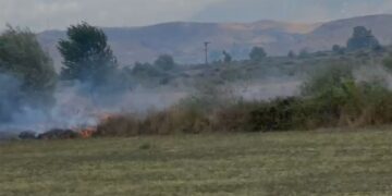 Zjarr në disa toka bujqësore në Lazarat, dyshohet se është i qëllimshëm