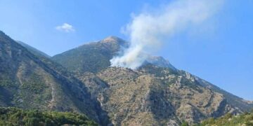 Gjirokastra mbulohet nga flakët, shkrumbohet masivi pyjor në malin e Pusit