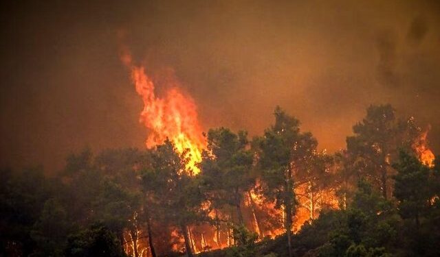 Greqia në alarm, zjarret ‘pushtojnë’ vendin fqinj