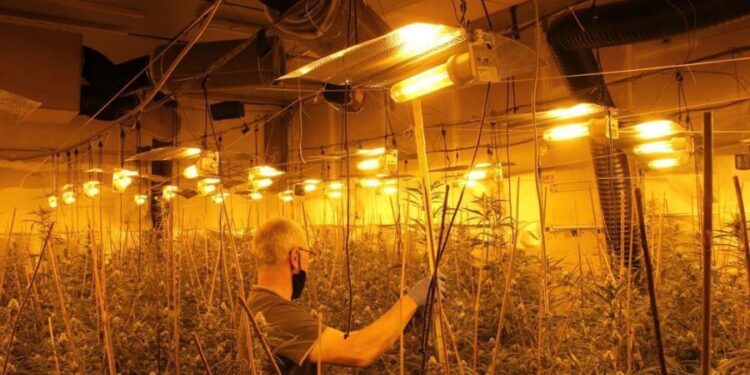 “Punova për të shlyer borxhin”, u kap në “shtëpi bari”, dënohet me 20 muaj burg shqiptari