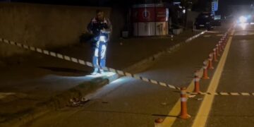 E rëndë në Shkodër, 15-vjeçari goditet për vdekje me thikë, shpallet në kërkim autori