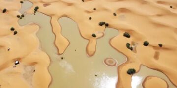 E rrallë! Përmbytet pas 50 vitesh shkretëtira e Saharasë (FOTO)