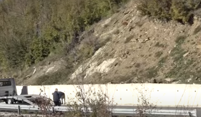 Zinxhir aksidentesh, një person me maskë hedh vaj në Qafën e Murrizit