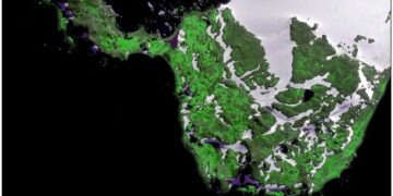 Kontinenti i bardhë shqetëson ekspertët, ndezin sirenat e alarmit: Antarktida po gjelbërohet, ja arsyeja