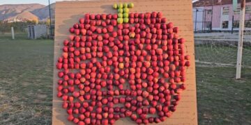 Festa e mollës së Korçës, fermerët ekspozojnë prodhimin e frutave në fshatin Dvoran