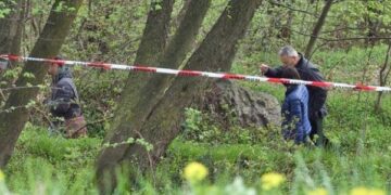 Gjendet i pajetë gjuetari që vrau kryebashkiakun e njohur