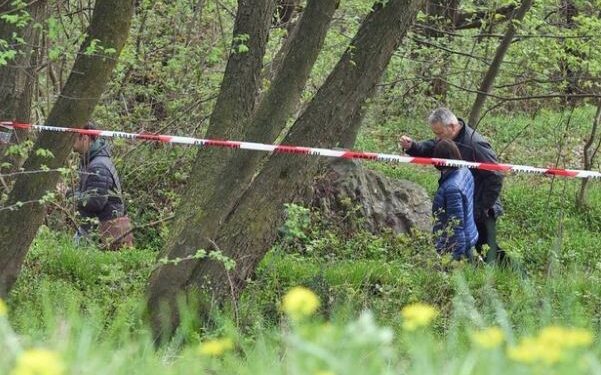 Gjendet i pajetë gjuetari që vrau kryebashkiakun e njohur