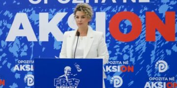 Vrasja e 28 vjeçarit, e treta në një javë/ PD: Krimi bashkëqeveris, ata kanë marrë timonin, duke i lënë kryeministrit tepsinë