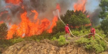 Shuhet zjarri që ra pranë Piramidës 17, në kufi me Greqinë, digjen 5 dynym me ferra dhe shkurre