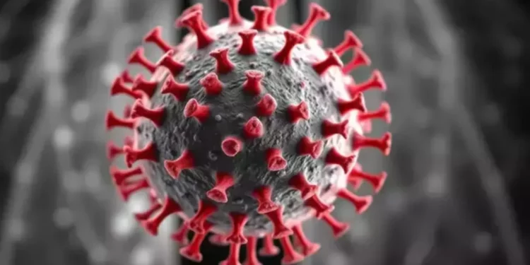Frika nga virusi HPMV, epidemiologu: E pamundur të mos ketë ardhur në Shqipëri, ja simptomat