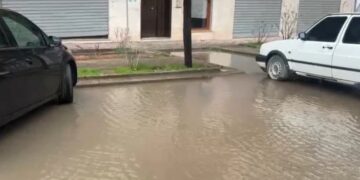 Reshje shiu dhe dëbore në Lezhë, probleme në qarkullim dhe ndërprerje energjie