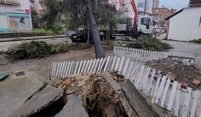 Stuhi në Lushnjë! Disa fshatra pa energji, era rrëzon pemë dhe objekte