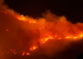 Zjarret në Los Angeles, VIP-at e Hollywood-it bëhen bashkë, dhurojnë miliona dollarë për të prekurit