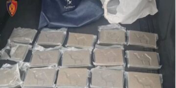 U kapën me 1.2 ton kokainë, trafikantët shqiptarë kërkojnë lirimin: “Nuk e di çfarë po bëj këtu”