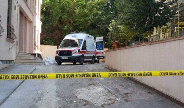 E rëndë në Lushnje, e reja i jep fund jetës duke u hedhur nga pallati