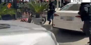 Llamba, aspiratorë dhe transformatorë! Policia e Vlorës jep detaje nga operacioni antidrogë: U zbuluan ‘shtëpi bari’, sekuestrohen 780 bimë narkotike