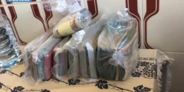 Xhaxha e nip bënin ‘kërdinë’, goditet grupi shqiptar i trafikut të drogës. Përdornin edhe ‘mushkat’