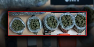 Kapet drogë me vlerë rreth 15 mijë euro, arrestohen katër persona