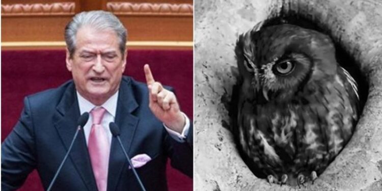 “Të vërtetat nuk i fshehin dot as thellësitë e oqeaneve”, Rama ironizon Berishën me ‘bufin e kënetës’