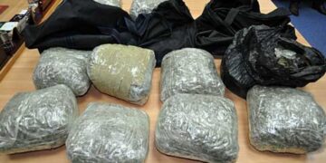 Holandë, gjenden 40 kg marijuanë në një banesë, në pranga shqiptari