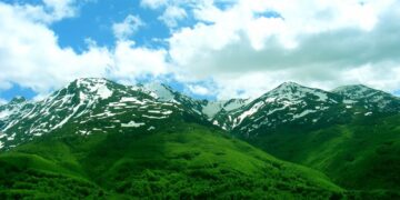 Kishin dalë për dru në pyll/ 27- vjeçari gjendet i vdekur, babai i tij në gjendje të rëndë shëndetësore…