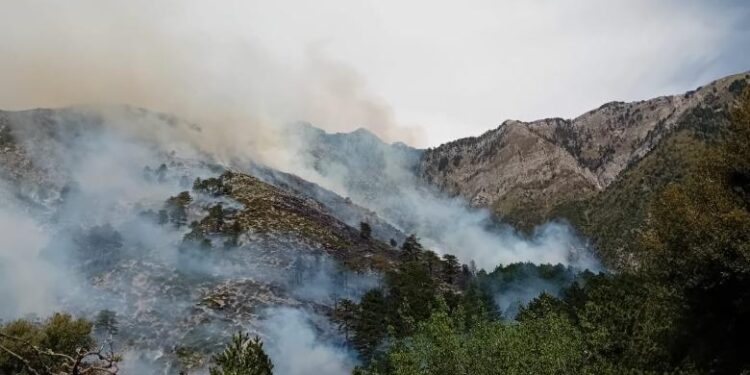 Zjarr në Dukat të Vlorës, flakët përhapen për shkak të erës së fortë