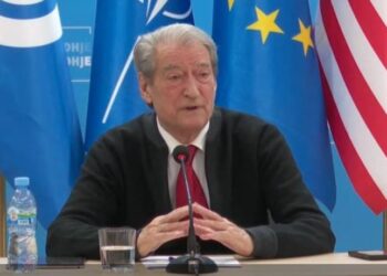 Po Partia Demokratike çfarë do të bëjë?