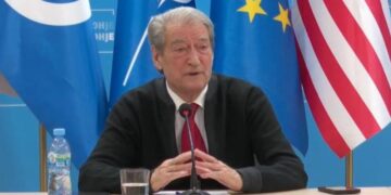 Po Partia Demokratike çfarë do të bëjë?