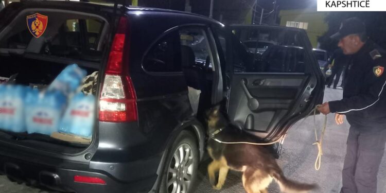 Tentoi të fuste kontrabandë në Shqipëri cigare