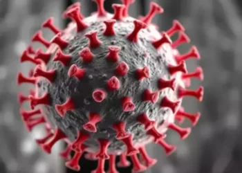 “Rikthimi i Covid-19: Simptomat e njëjta, përhapje më e shpejtë”