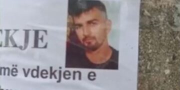 Vdekja e elektriçistit në Divjakë, arrestohen dy elektricistët e OST dhe OSHEE