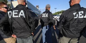 Raporti i DIA-s: Mafia shqiptare po fiton lidership në trafikun e kokainës!