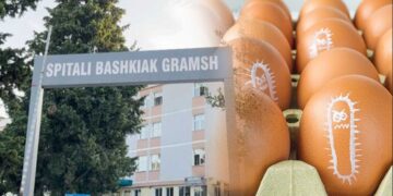 Gramsh, dalin përgjigjet e analizave: Vezët ishin të kontaminuara