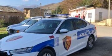 Përdorën të miturin për të vjedhur mbi 6 mln lekë
