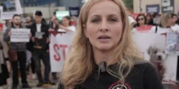 Helmime masive të kafshëve në Shqipëri – Aktivistja: Situatë alarmante