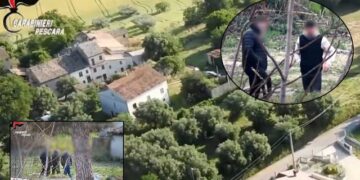 Goditet banda shqiptare në Itali, arrestohen 12 persona, sekuestrohen 423 kg drogë