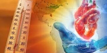 Sa gradë përballon zemra në vapë ekstreme?