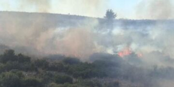 20 vatra zjarri gjatë ditës së sotme në vend, ja harta e shpërndarjes së tyre