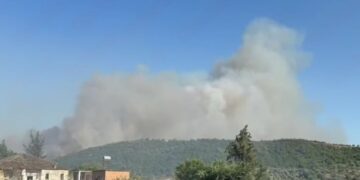 Zjarr në Vlorë/ Përfshihen tre fshatra, digjen 30 ha dhe 600 ullinj, ndërhyrje nga ajri e toka