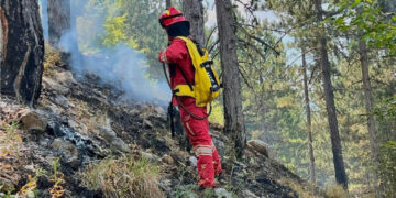 Situata e zjarreve në vend, Ministria e Mbrojtjes: 9 vatra zjarri në 24 orët e fundit