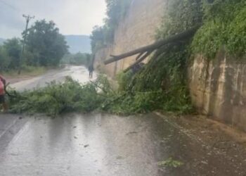 Gjysma e Shqipërisë “përvëlohet”, pjesa jugore përmbytet, era e fortë rrëzon pemët në rrugë