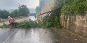 Gjysma e Shqipërisë “përvëlohet”, pjesa jugore përmbytet, era e fortë rrëzon pemët në rrugë