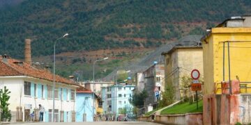 “Çmendet” drejtori i kujdesit shëndetësor në Bulqizë, Juljan Damzi bën të fortin me gratë e Ujësjellësit