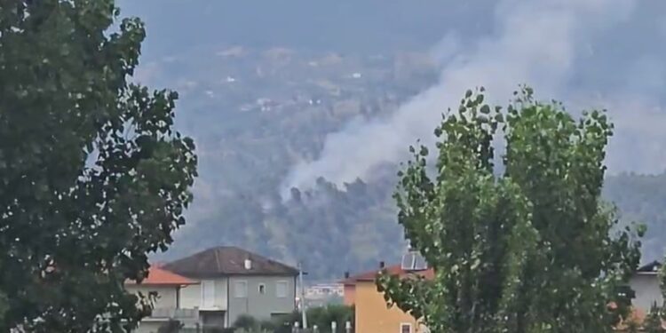 Zjarr në pyllin me pisha në Krastë, shërbimet zjarrfikëse në terren