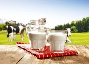 Si po “zhduken” bagëtitë, në 10 vite tkurren me 37%, qarqet me rënien më të madhe