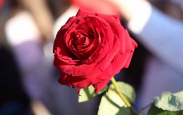 34-vjetori i PS, Rama: Flamuri i socialistëve e progresistëve më lart se asnjëherë
